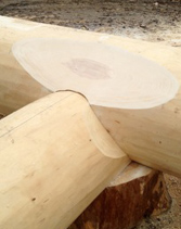 construction en bois rond